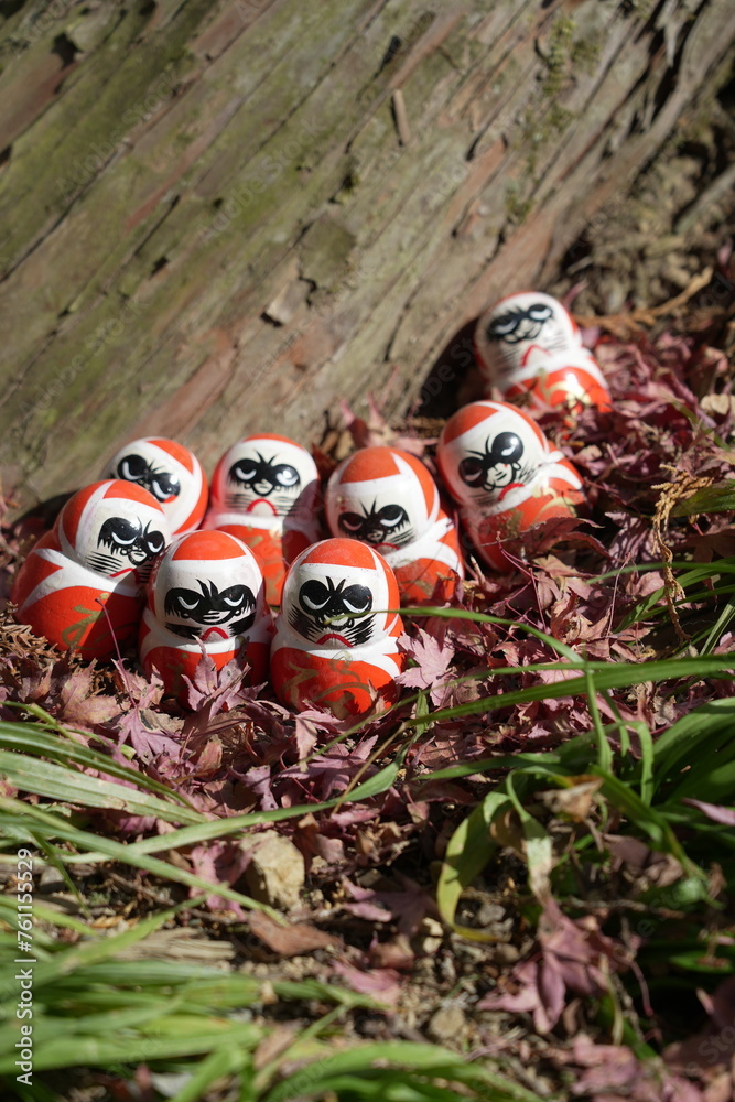 Fototapeta premium Japanese traditional dharma dolls
