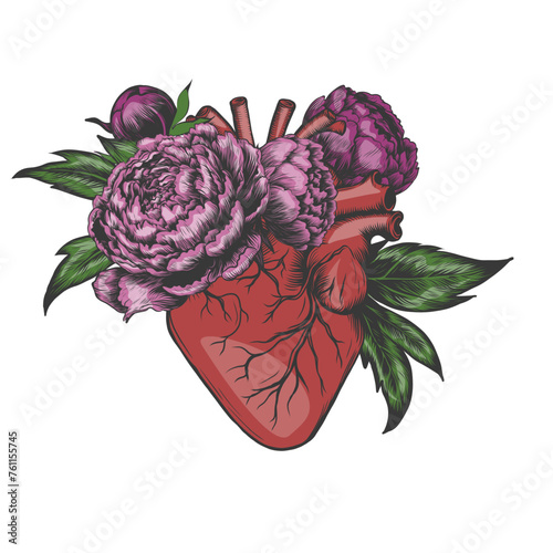 Blooming anatomical human heart. Vector hand drawn illustration in vintage style. Retro Design for your tattoo, logo, T-short print, stickers.