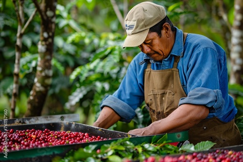 Joyful Farmer with Organic Coffee Cherries in Sustainable Farm