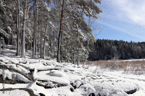 Photography Winter