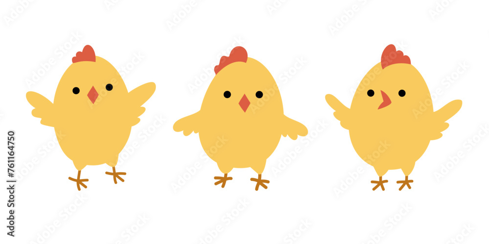 Set of yellow chicks. Vector illustration in flat style is isolated on white background