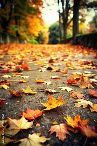 Autumn leaves lying on the floor 