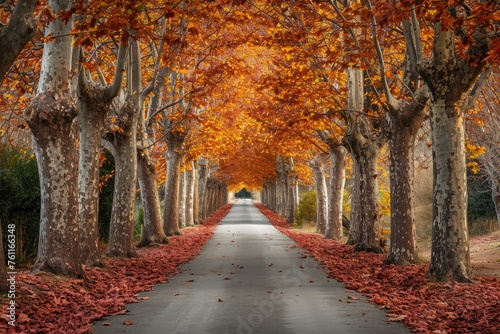 A scenic road bordered by numerous trees covered in vibrant fall leaves, creating a colorful and picturesque autumn landscape, A stunning panorama of a tree-lined avenue during fall, AI Generated