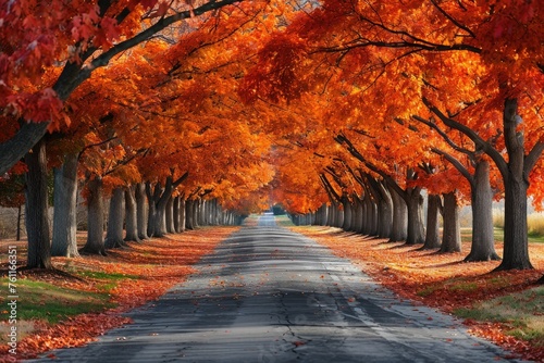 A road flanked by trees with vibrant orange leaves creates a captivating autumn scene, A stunning panorama of a tree-lined avenue during fall, AI Generated