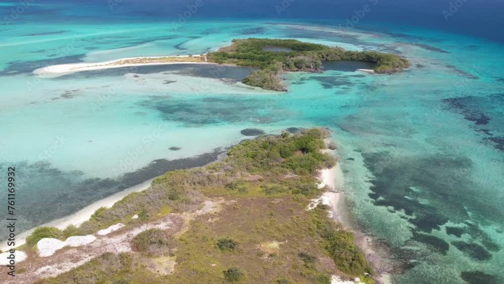 A serene mangrove forest surrounded by a tranquil lagoon, gentle backward motion, aerial view