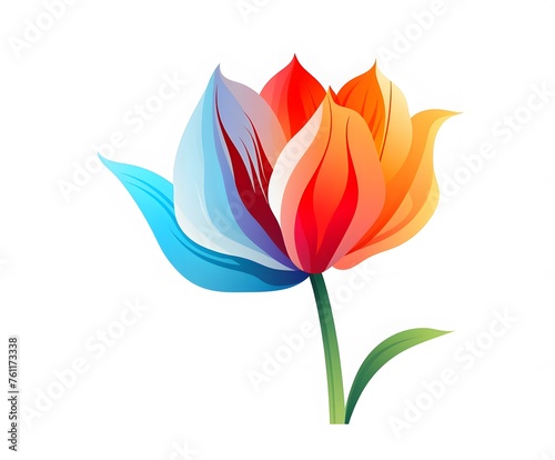 Closeup of blooming tulip flower on isolated white background.