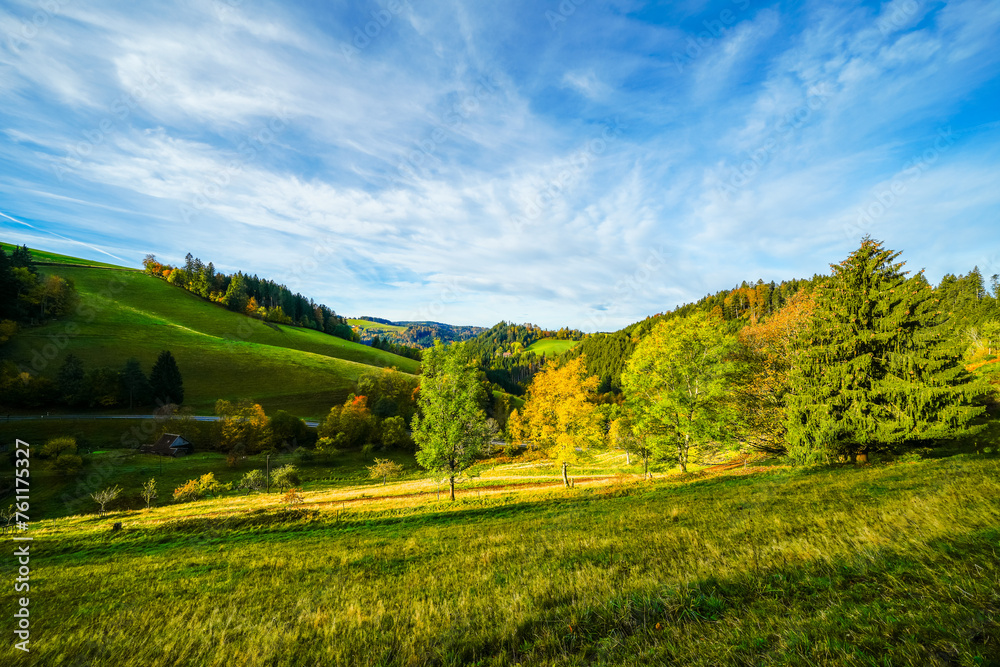 Obraz premium Autumnal landscape in the Black Forest. Nature with forests, hills and fields. 