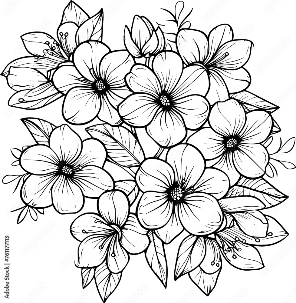 outline illustration of jasmine flowers collection beautiful