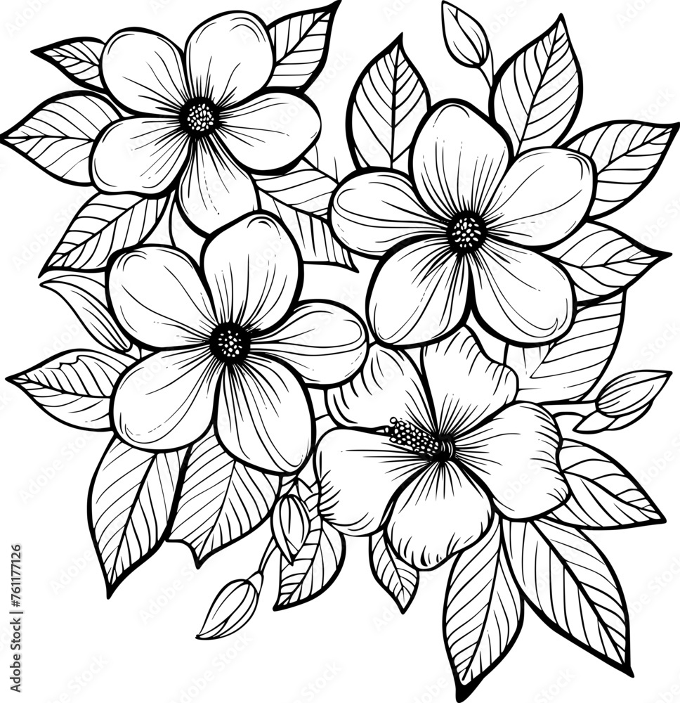 outline illustration of jasmine flowers collection for coloring
