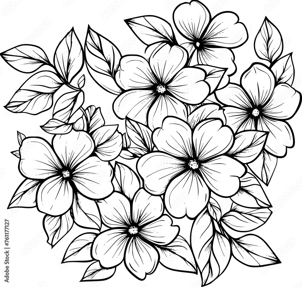 outline illustration of jasmine flowers collection