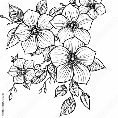 outline illustration of jasmine flowers collection for invitation