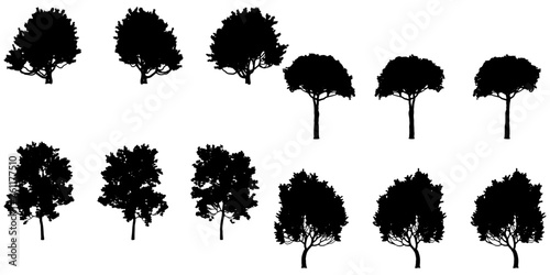 Set Of Silhouette Trees - Flowers and Leaves Silhouette Vector EPS10