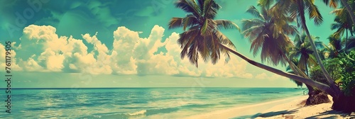 Tropical beach with palm tree and ocean. Retro, vintage style shot. Summer vacation and travel concept. Design for banner, header. Panoramic view with copy space © dreamdes