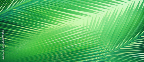 Striped of palm leaf Abstract green texture background