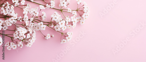 Top view of small white gypsophila flowers over pastel