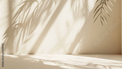 minimalistic abstract gentle light beige background ,light and intricate shadow from the window. © Jrprr