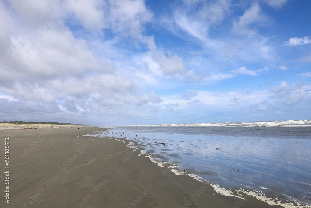 Wunderschöner Strand in Neuseeland mit Möven 