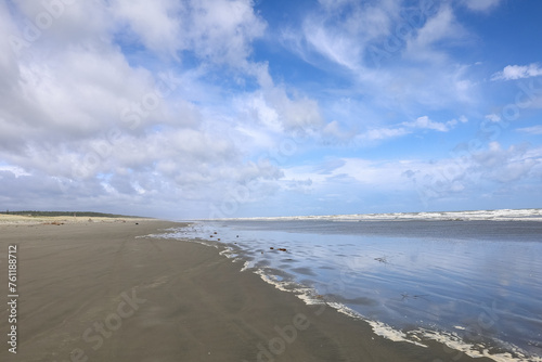 Wunderschöner Strand in Neuseeland mit Möven 