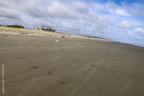 Wunderschöner Strand in Neuseeland mit Möven 