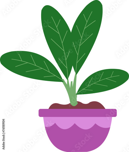 Plants And Pots Clipart