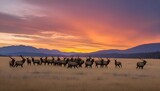 A Herd Of Elk Silhouetted Against A Colorful Sunse