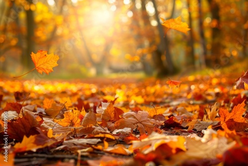 Take in the beauty of autumn with its crisp air, pumpkin patches, and the vibrant colors of changing leaves that carpet the ground, Generative AI