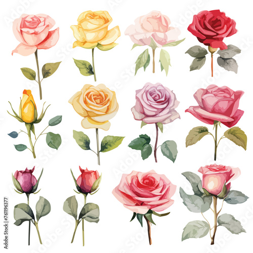 Fototapeta Naklejka Na Ścianę i Meble -  Assorted Roses Water colour Roses Clipart 