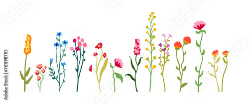 Summer set of delicate graceful wildflowers on tall stems with foliage. Minimalistic floral elements. Spring flowering plants isolated on white background. Flat vector illustration.
