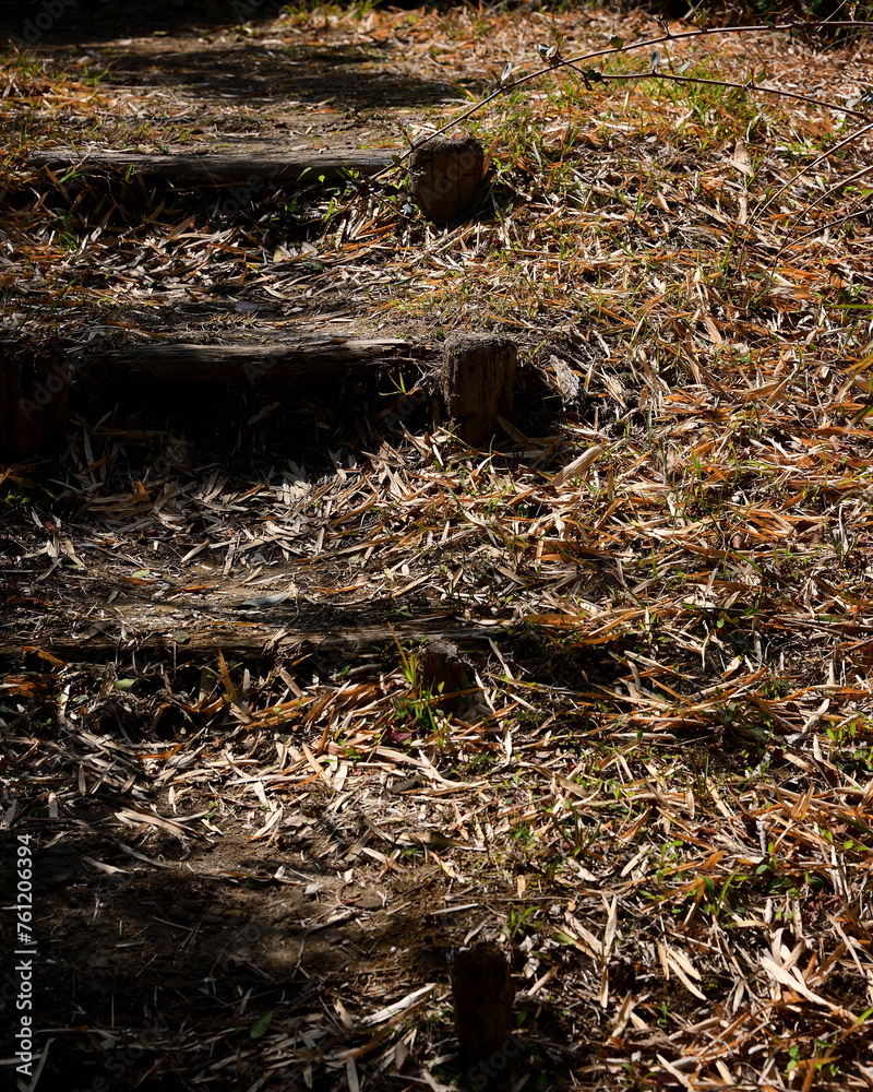 Obraz premium ハイキングコース