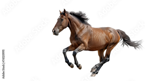 Flight of a horse on Transparent Background. PNG file