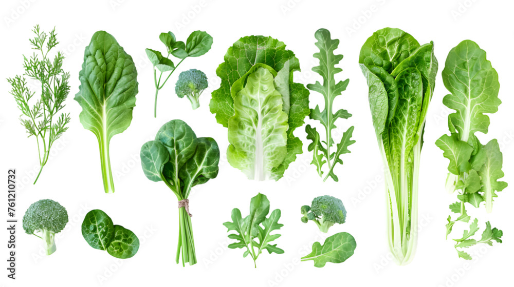 Healthy fresh green leaf lettuce vegetables on white background. PNG file Healthy fresh green leaf lettuce vegetables on white background. PNG file