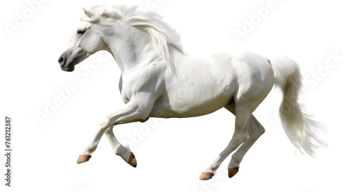 white graceful Horse in Motion on Transparent Background, png