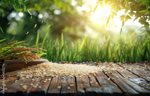 Rice plant. Rice grains in sack and rice seed on wooden table with the rice field background photo