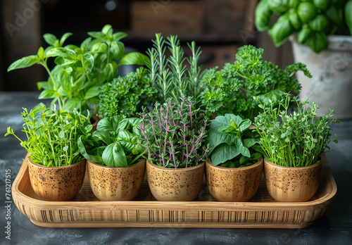 Various fresh herbs on wooden table