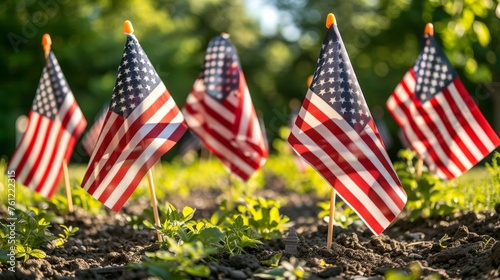 American Flags on Memorial Day Lining a Serene Path