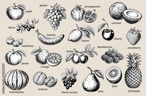 Hand-drawn detailed retro-style illustrations of assorted fruits
