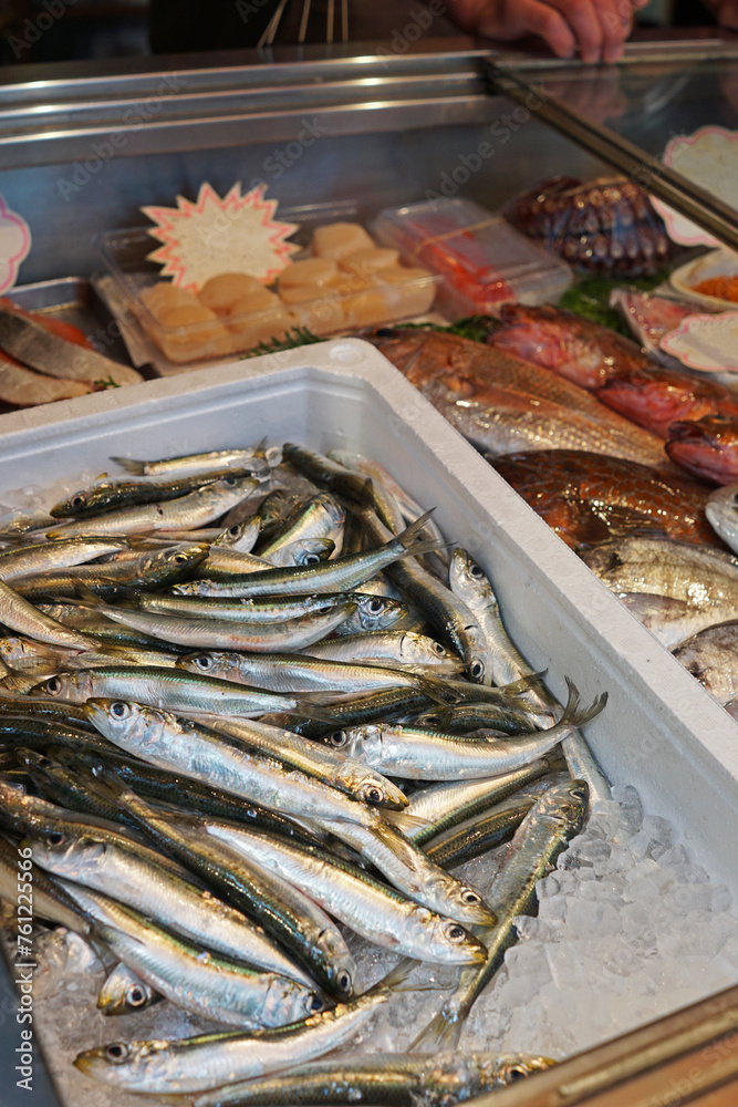Close up Fresh and raw seafood displayed on fish market shelf