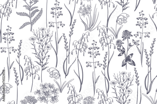 Cereals, herbs and wildflowers. Simple floral seamless pattern.