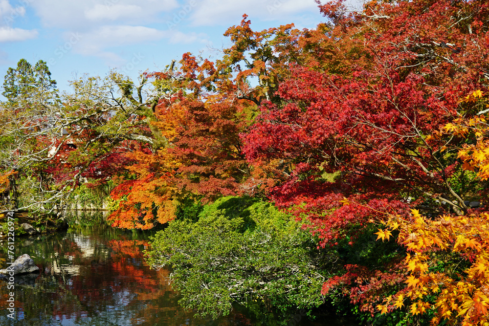 Natural landscape of Maple Autumn leaves changing color park at Tenryuji garden temple with river pond- Kyoto, Japan