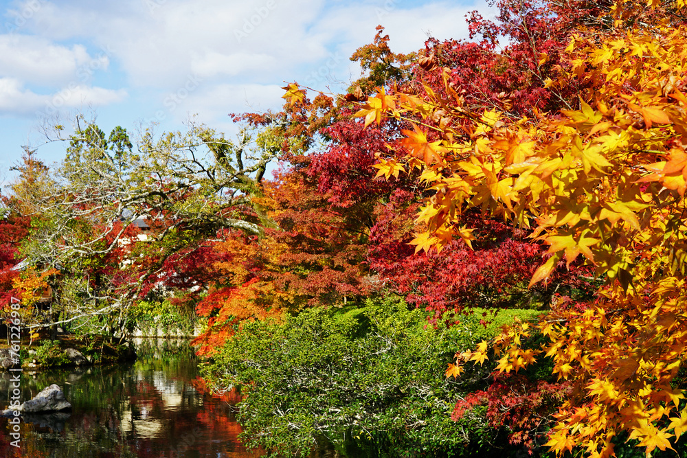 Natural landscape of Maple Autumn leaves changing color park at Tenryuji garden temple with river pond- Kyoto, Japan Natural landscape of Maple Autumn leaves changing color park at Tenryuji garden temple with river pond- Kyoto, Japan