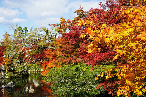 Natural landscape of Maple Autumn leaves changing color park at Tenryuji garden temple with river pond- Kyoto  Japan