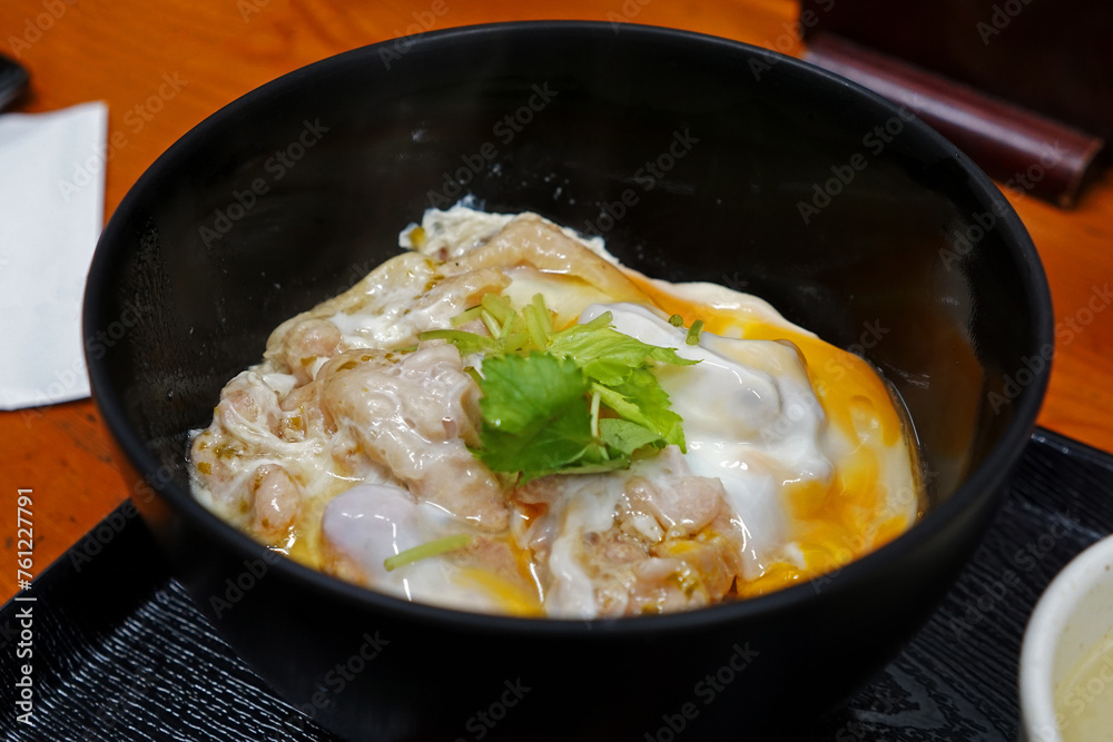 Close up bowl of Chicken Teriyaki Don(rice) served with eggs Close up bowl of Chicken Teriyaki Don(rice) served with eggs