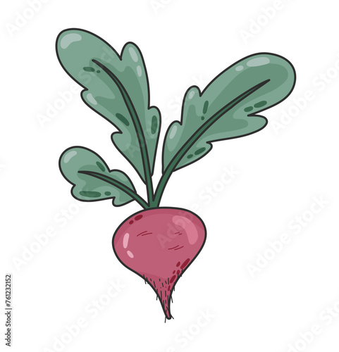 Organic beetroot doodle cartoon vegetable. Vegan diet grocery products, natural healthy food concept, cooking ingredients hand drawn vector. vegan products shops, and organic market.
