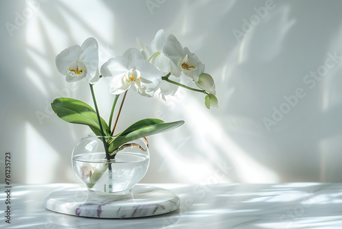 White orchid in glass vase on marble chopping board