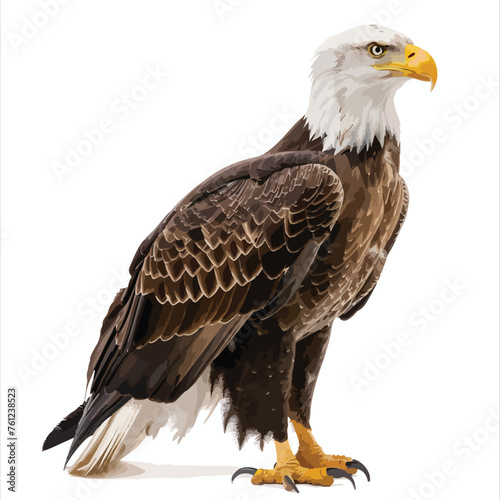 Eagle Clipart isolated on white background