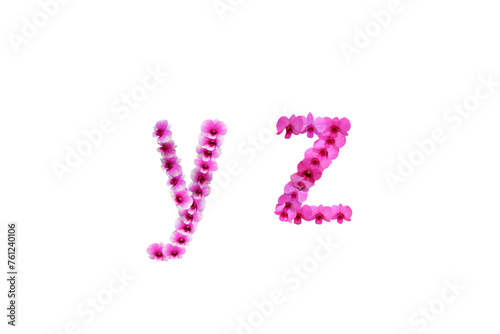 Image of orchids arranged in letters yz isolated on transparent background png file. photo