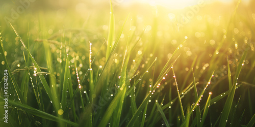 lawn with green grass in raindrops,