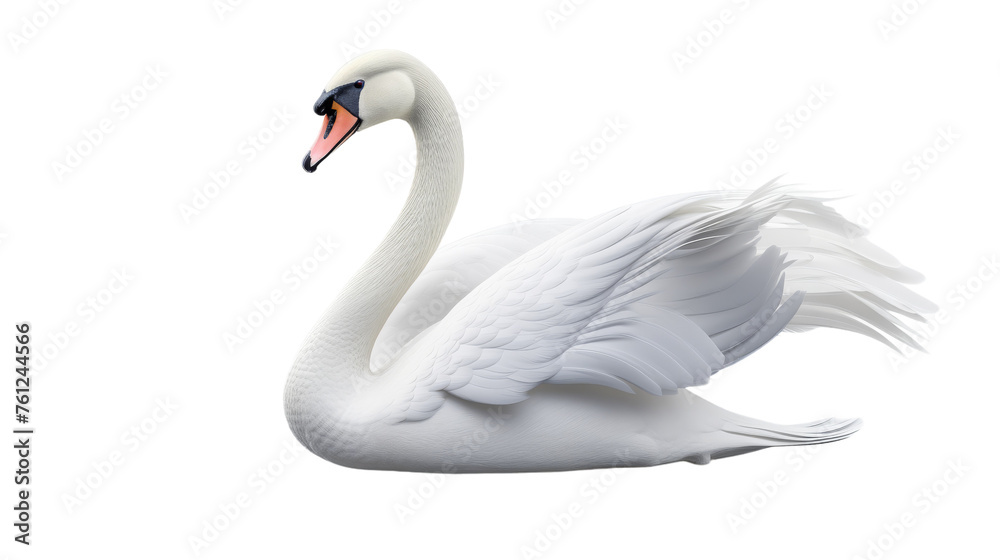 A majestic white swan gracefully spreads its wings in a display of beauty and power A majestic white swan gracefully spreads its wings in a display of beauty and power