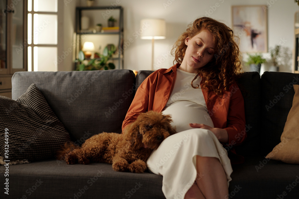 Pregnant woman with dog sitting on sofa at home