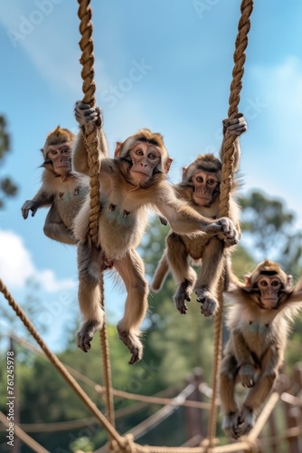 Professional Photography of a Playful Troupe of Monkeys Swinging From Tree to Tree in Their Jungle-Themed Enclosure, Generative AI
